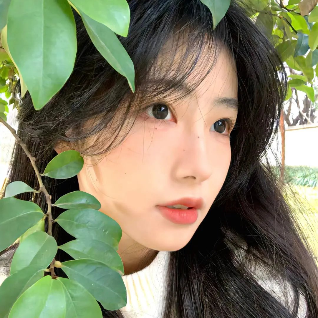 太子妃醒醒吧，你成影后了